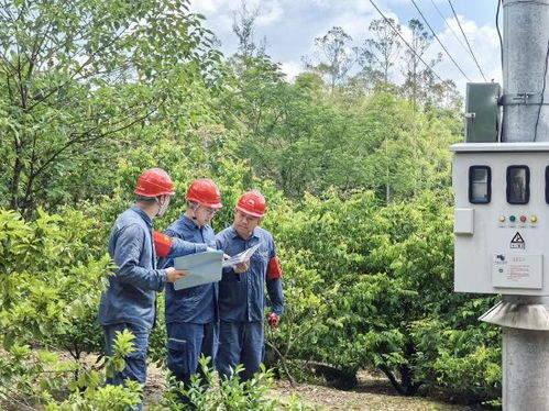 為群山織網 南方電網廣東惠州供電局山區電網升級照亮鄉村高質量發展之路